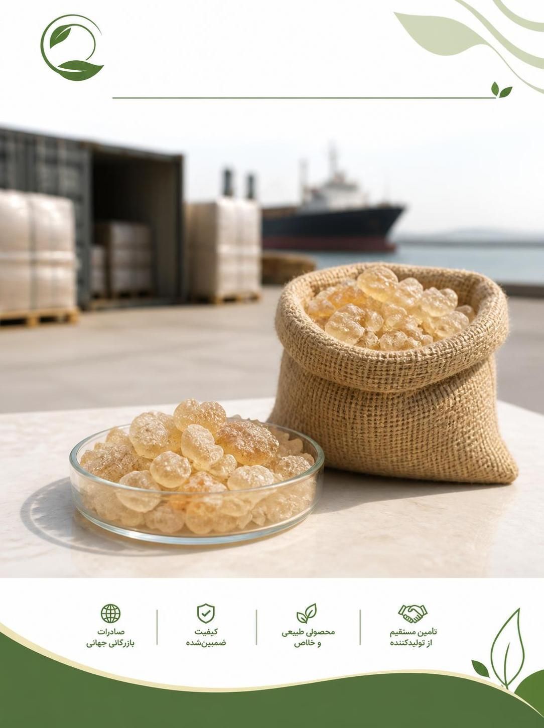 صادرات کتیرا به کویت | قیمت، مدارک و شرایط فروش عمده(09130358741)