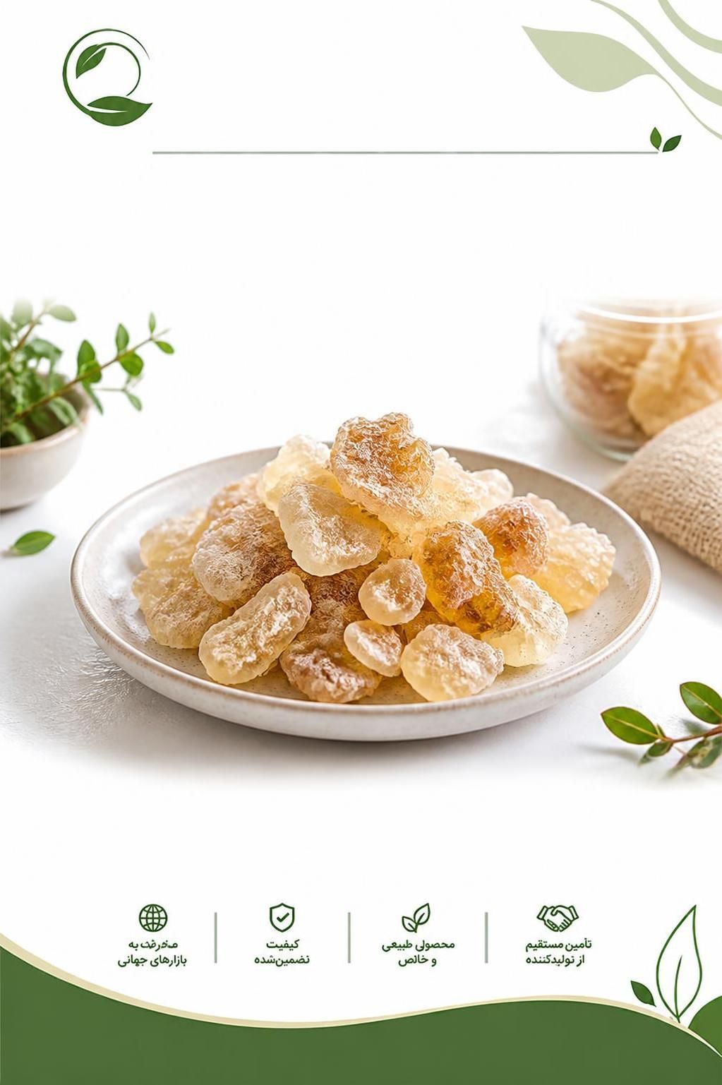 کتیرا طبیعی | خرید، قیمت، انواع و کاربرد کتیرا طبیعی(09130358741)