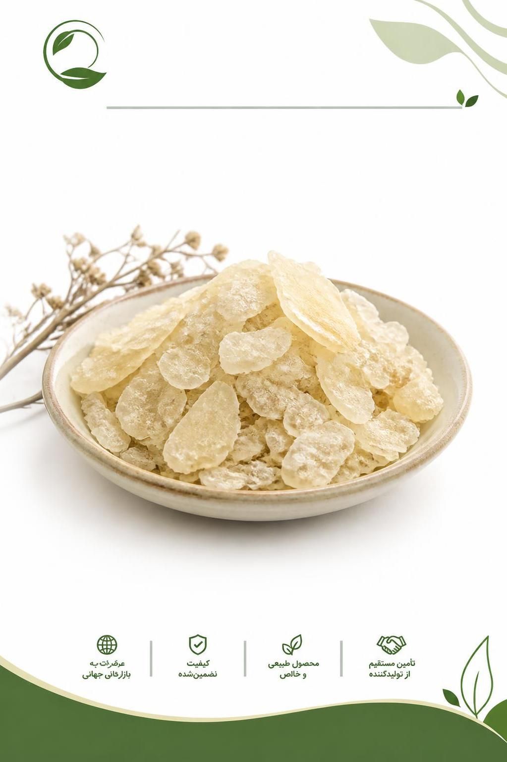 کتیرا اصفهان | خرید کتیرا مفتولی و خرمنی و قیمت ۱۴۰۵(09130358741)