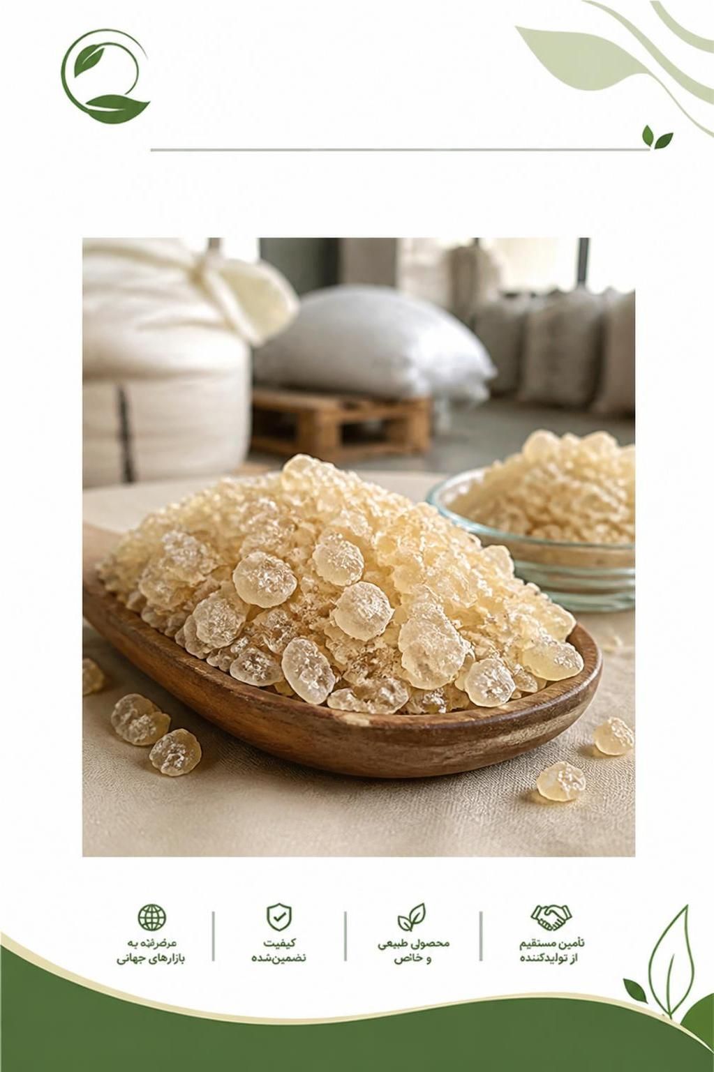 قیمت کتیرا عمده | راهنمای خرید کتیرا مفتولی و خرمنی(09130358741)