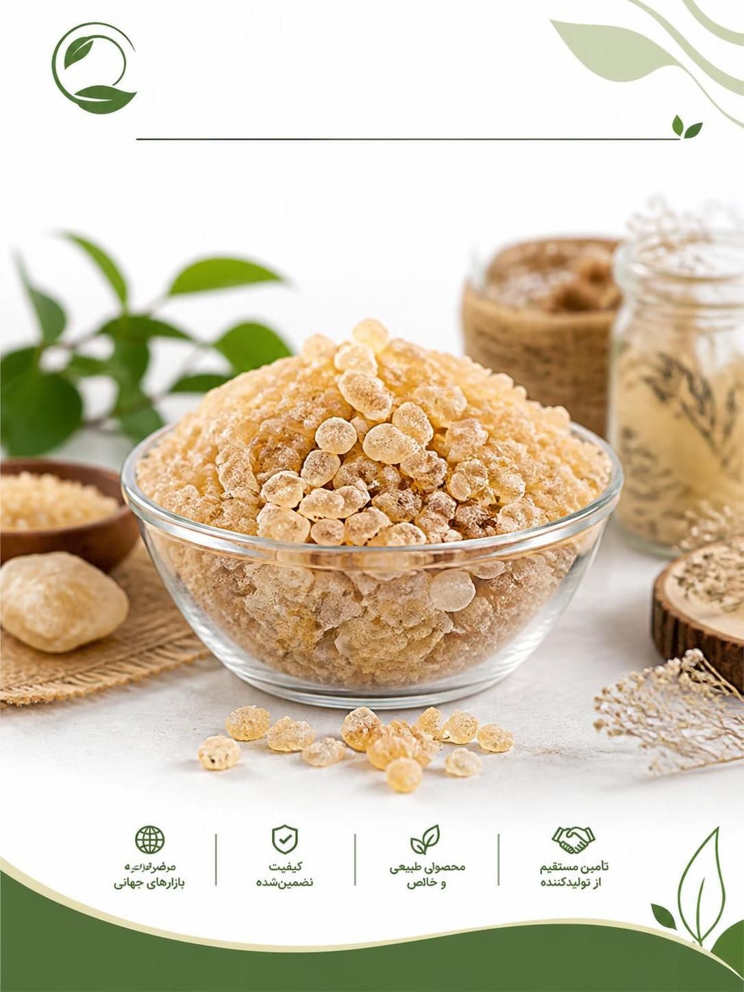 کتیرا دانه‌بندی شده | خرید، قیمت و تشخیص کیفیت کتیرا(09130358741)