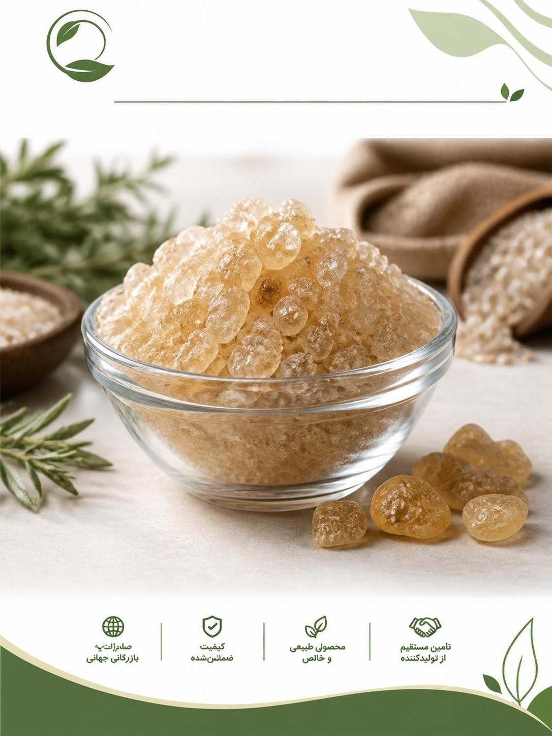تولیدکننده کتیرا | خرید کتیرا مفتولی و خرمنی + قیمت روز(09130358741)