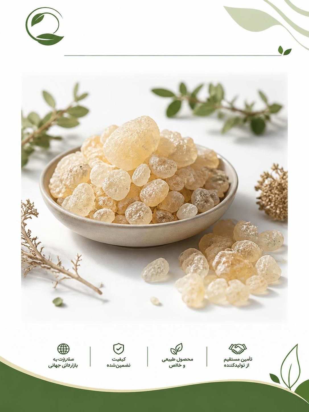 کتیرا عمده | خرید کتیرا مفتولی و خرمنی + قیمت روز(09130358741)