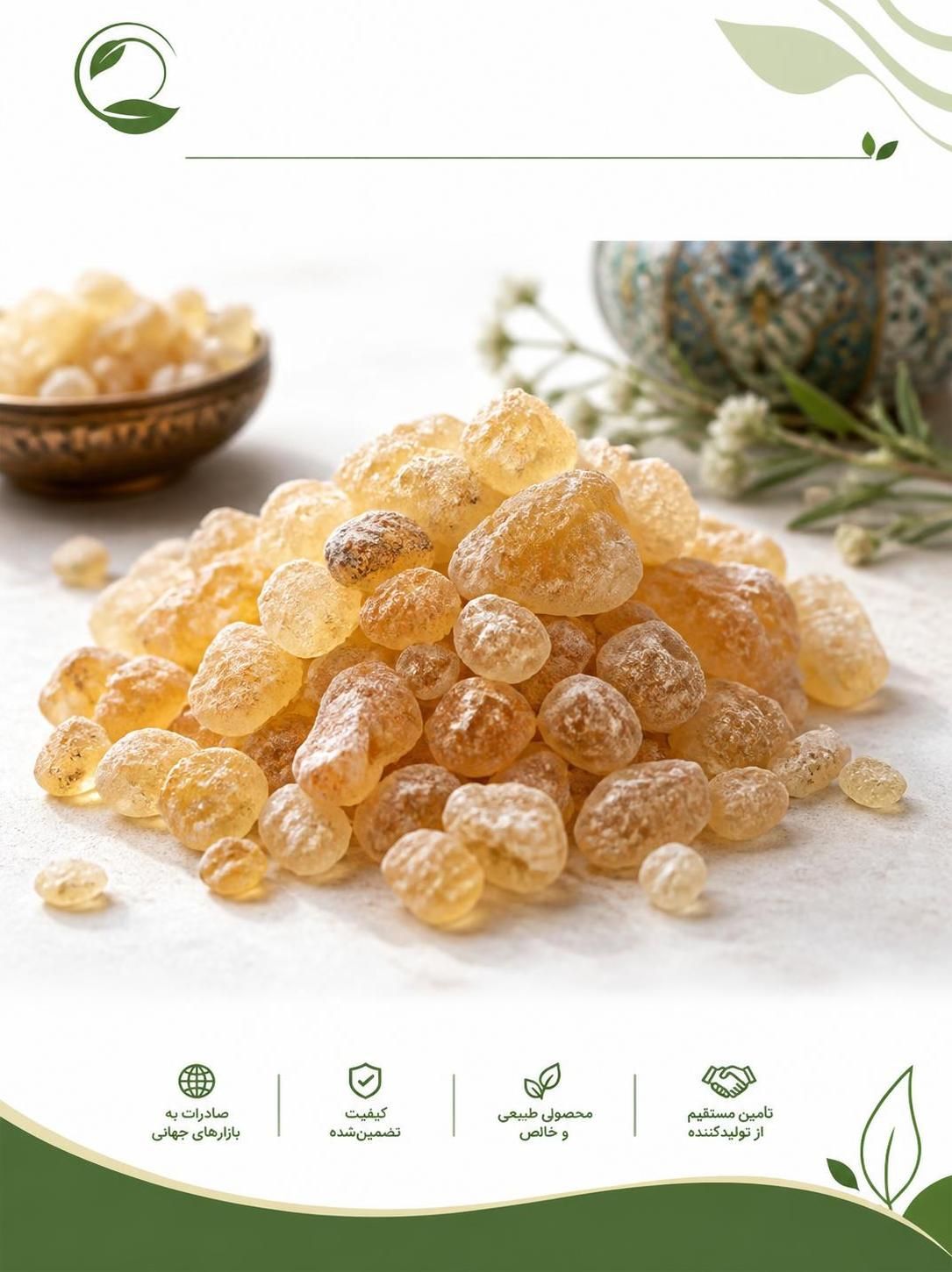 Gum Tragacanth ایران | خرید، قیمت و صادرات کتیرا از ایران(09130358741)
