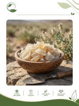 برداشت سنتی کتیرا؛ روش‌ها، مراحل و نکات مهم جمع‌آوری(09130358741)