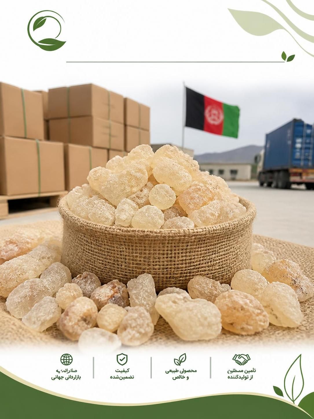 صادرات کتیرا به افغانستان | قیمت و شرایط فروش عمده پارس کتیرا(09130358741)